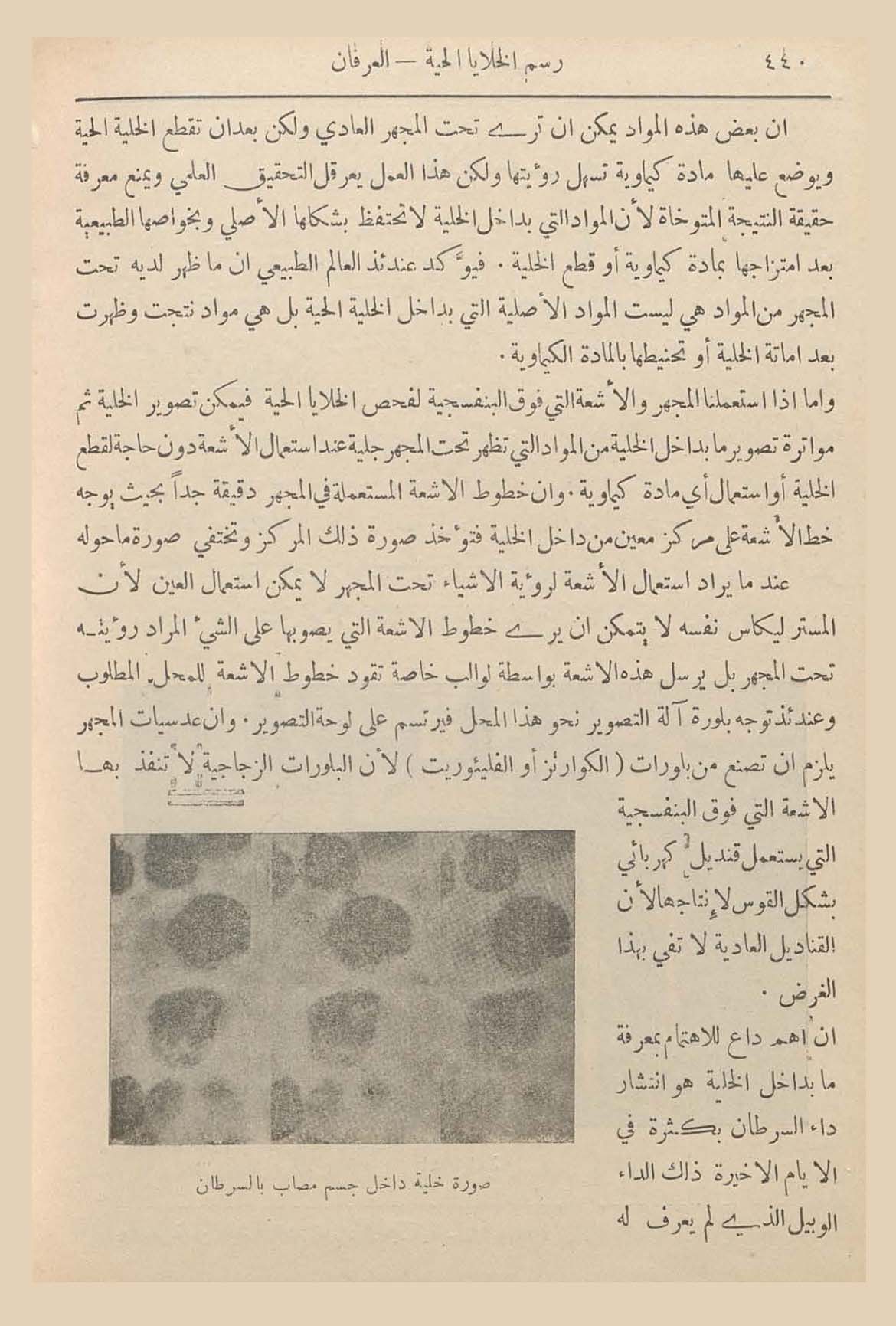 الأرشيف: العرفان العدد 4 تاريخ الإصدار 01 نوفمبر 1930 مقالة رسم 